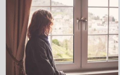 The Impact of Windows on Home Renovation – More Than You Think